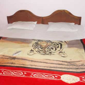 Hotel Bhagirath, Pachmarhi 4